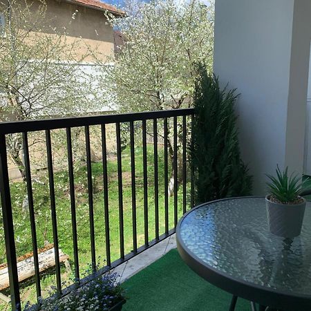 Rose Apartment Piatra Neamţ Esterno foto