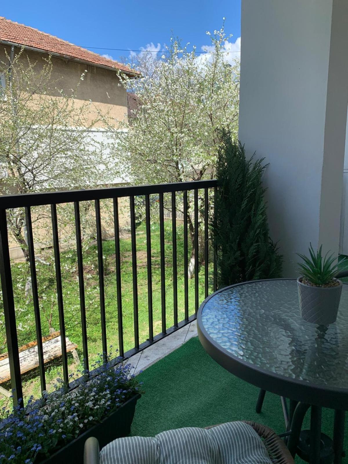 Rose Apartment Piatra Neamţ Esterno foto