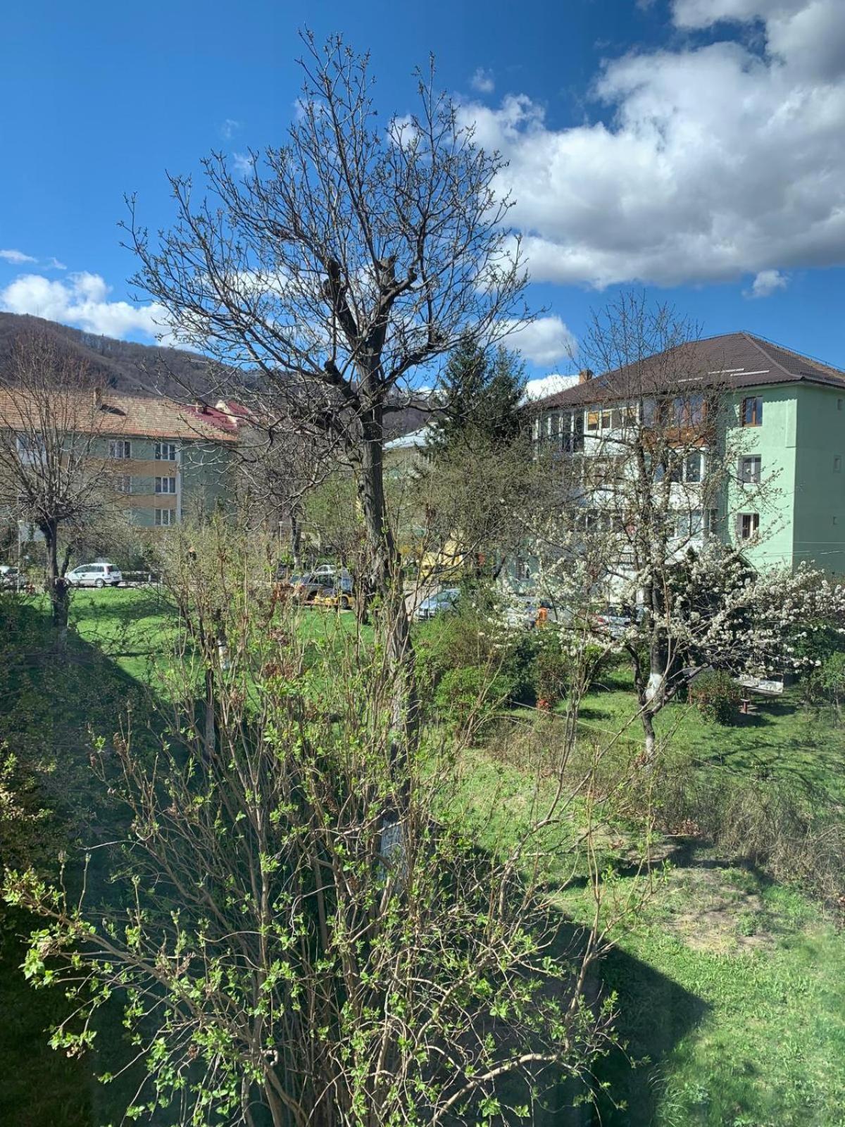 Rose Apartment Piatra Neamţ Esterno foto
